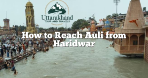 How to Reach Auli from Haridwar