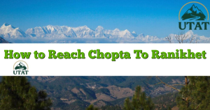 How to Reach Chopta To Ranikhet