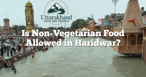 Is Non-Vegetarian Food Allowed in Haridwar?